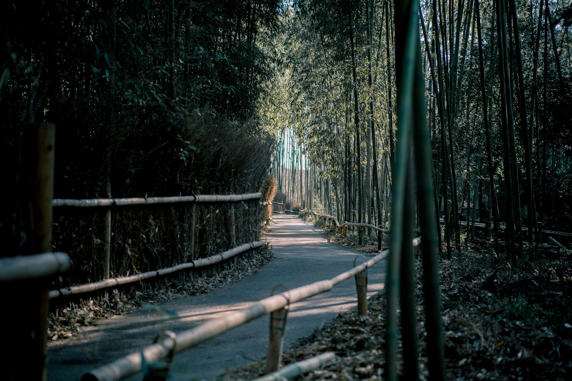 Kyoto Garden